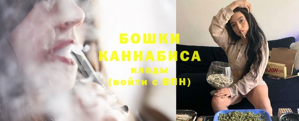сатива Балахна