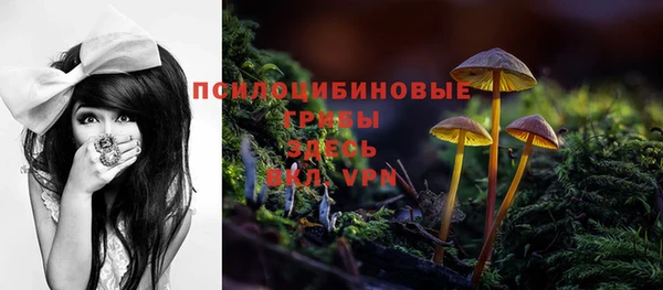 MESCALINE Арсеньев