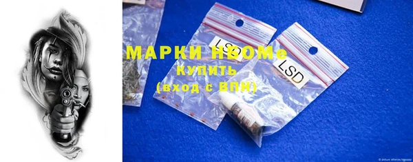 сатива Балахна
