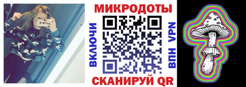 где купить   Мураши  Псилоцибиновые грибы Psilocybe 